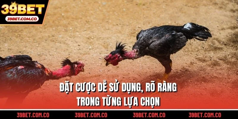 Đặt cược dễ sử dụng, rõ ràng trong từng lựa chọn
