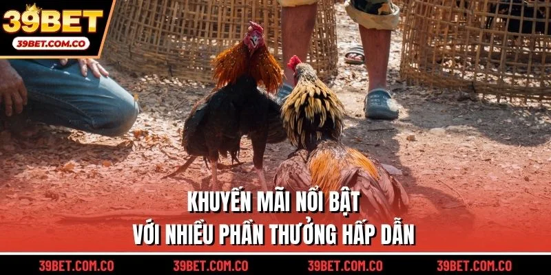 Khuyến mãi nổi bật của với nhiều phần thưởng hấp dẫn