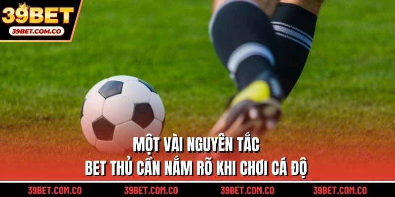 Một vài nguyên tắc bet thủ cần nắm rõ khi chơi cá độ